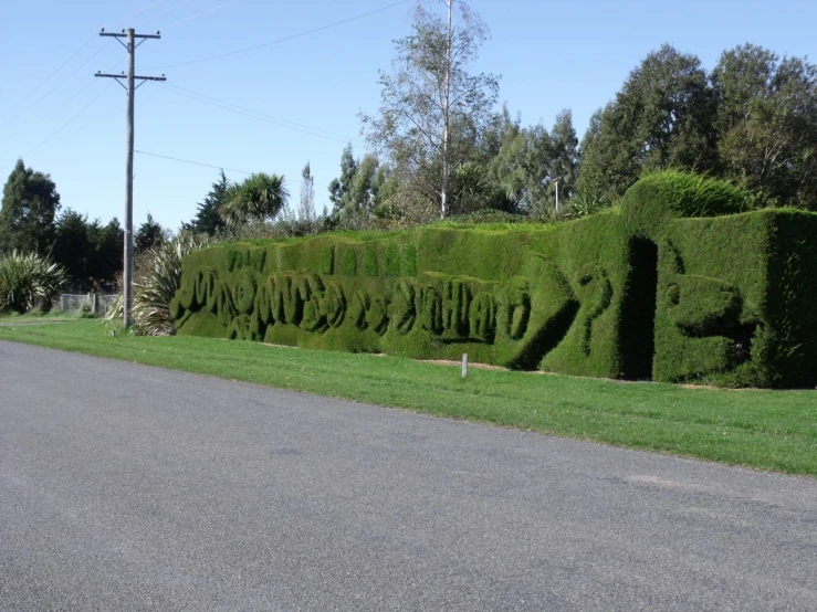 a hedged wall in the middle of a road