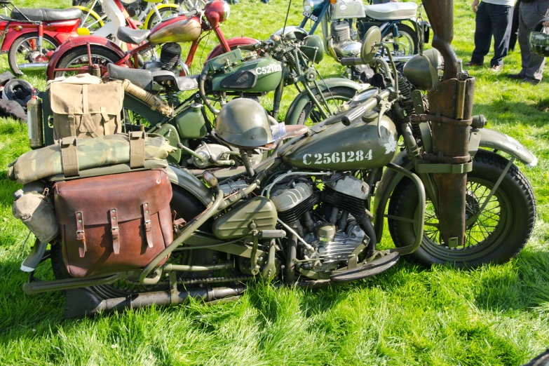 motorcycles parked together on some grass and people