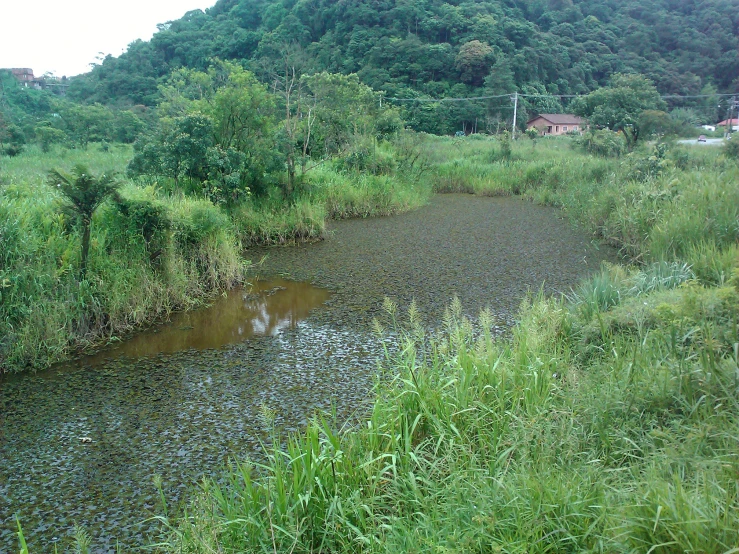 a field that has a lake in it