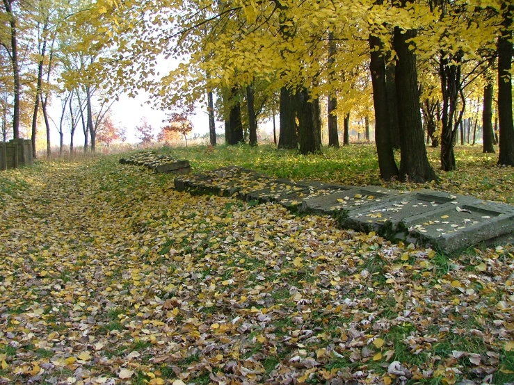 a cemetery in the middle of an area with leaves all over it