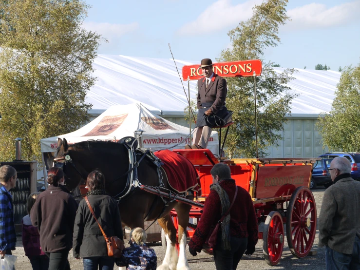 a man standing on the back of a horse drawn carriage