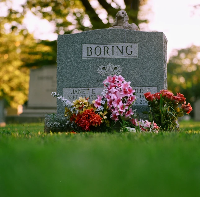 a grave in the grass with flowers growing beside it