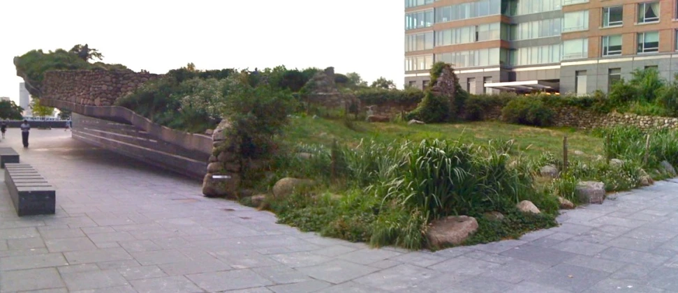 a bench sits in the middle of an overgrown park