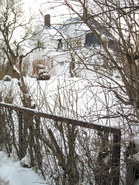 there is a bush near the fence and a building