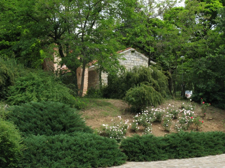 flowers and a house seen through trees in the background