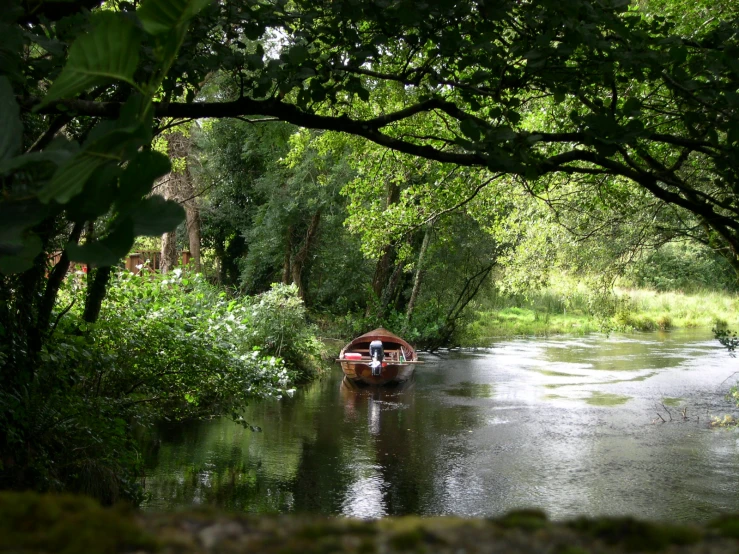 a small boat is traveling down a river