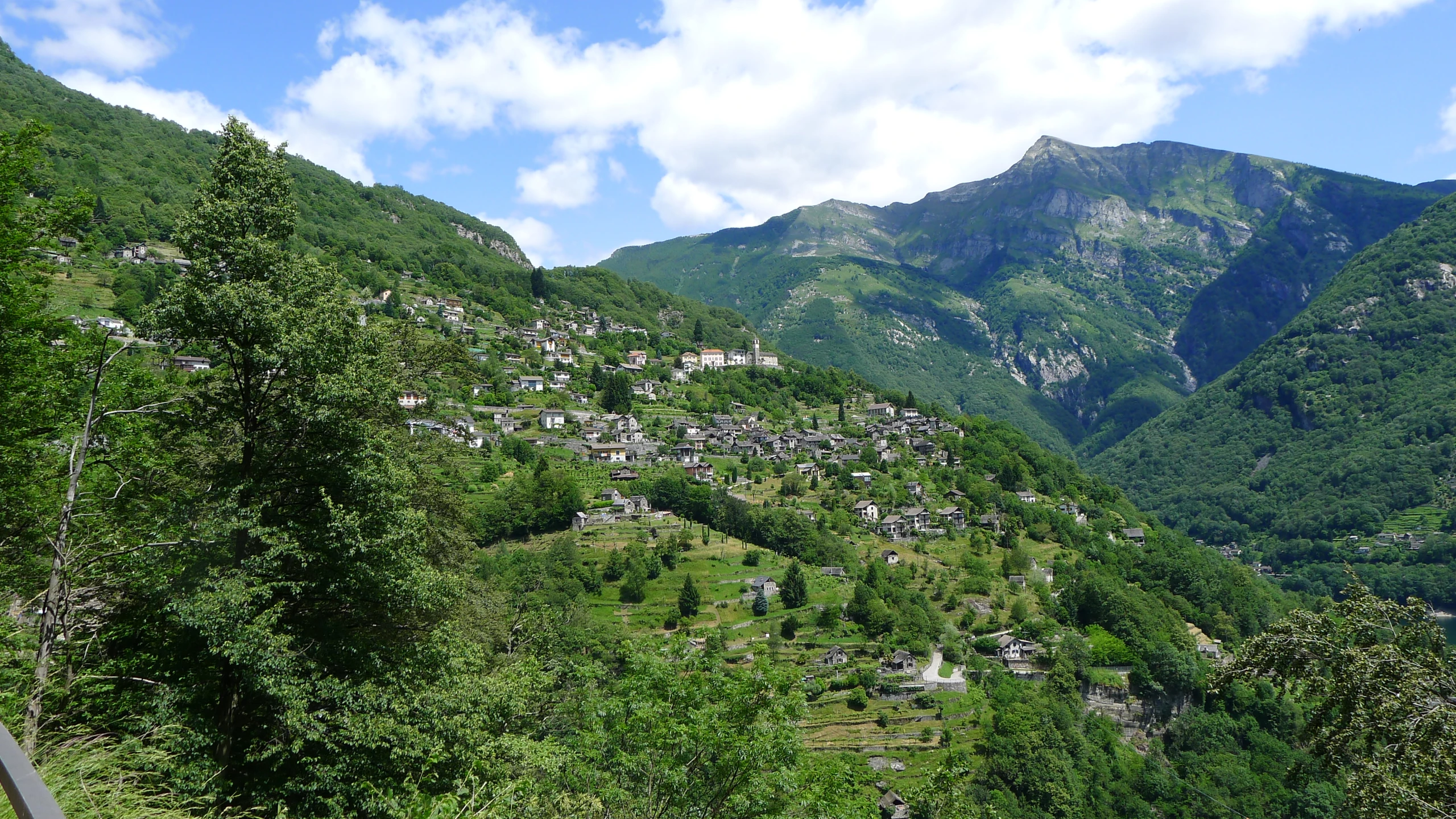 an scenic landscape with trees and mountains