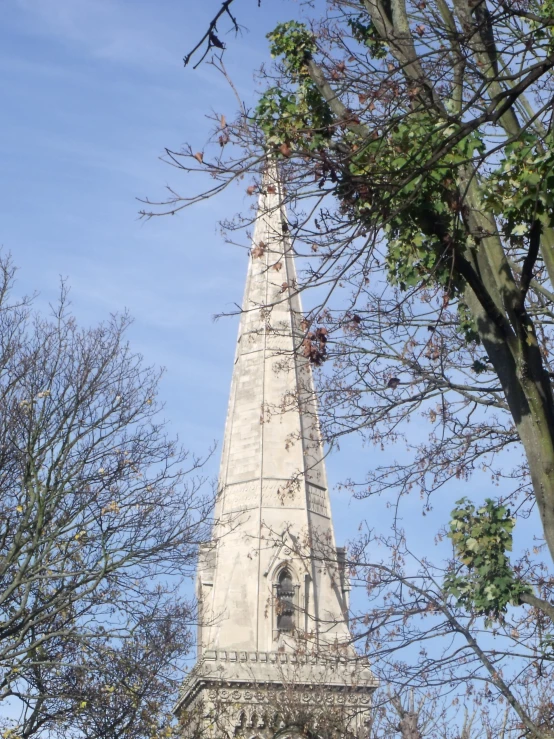 the steeple of a building with trees in front of it