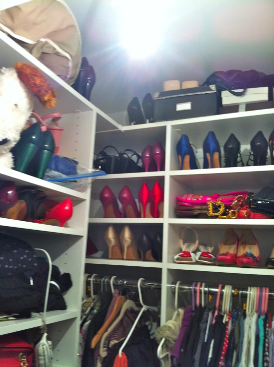 several pairs of shoes are stored in a large closet