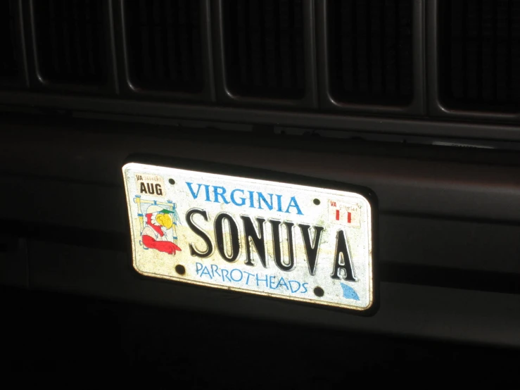 the license plate is for a large family