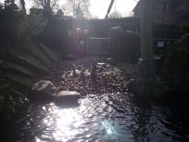 people walking in the sunlight behind some rocks