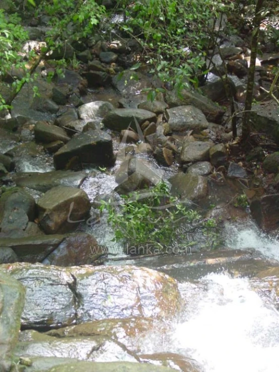 a group of rocks sitting in the middle of water