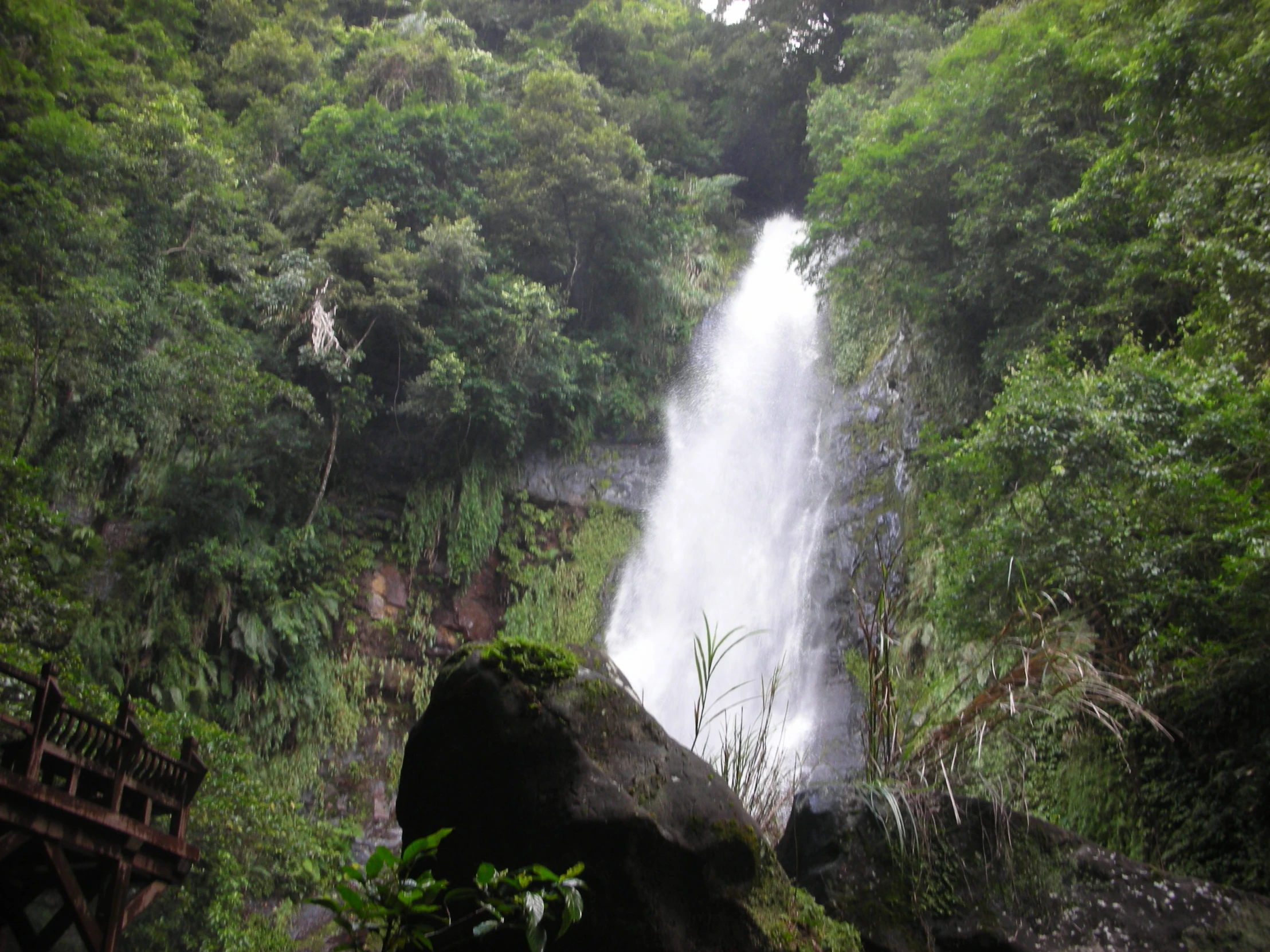 a tall waterfall is surrounded by trees in a forest
