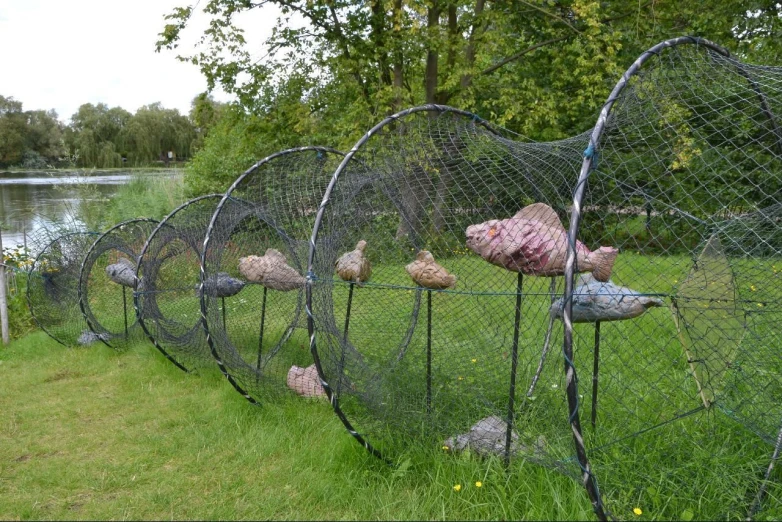 a fence with some pink fish stuffed into it