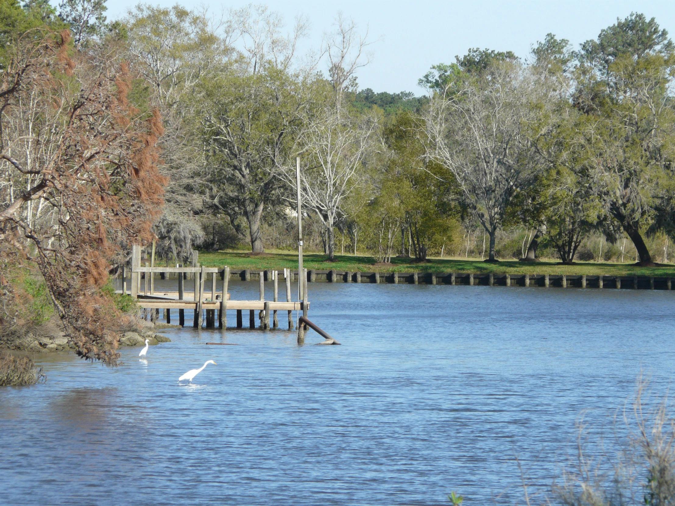 two swans sitting on a dock in a lake