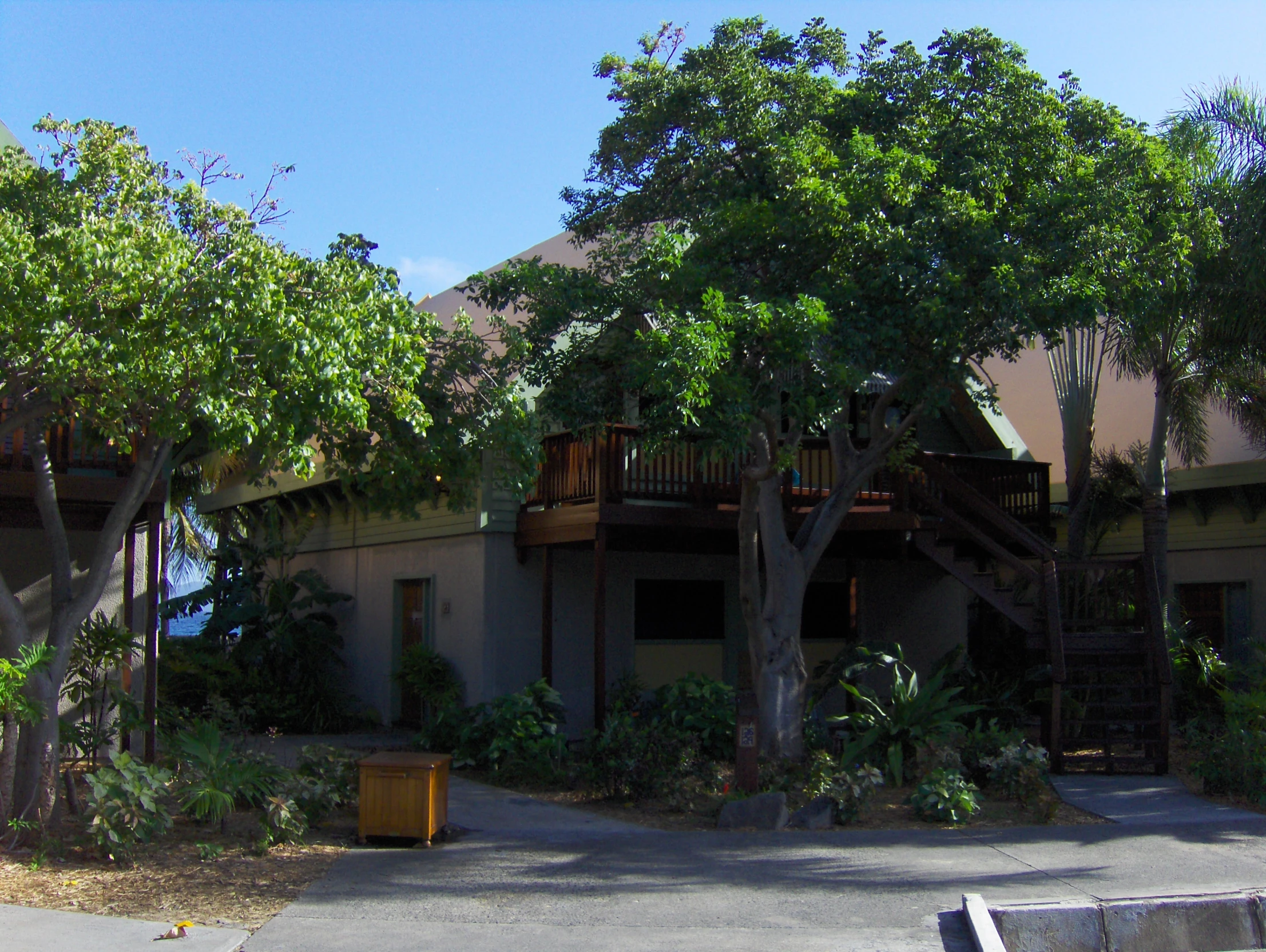 several trees and benches near a building