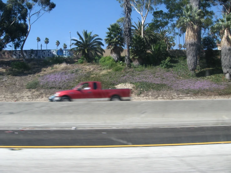 a vintage red pickup truck driving past some purple flowers