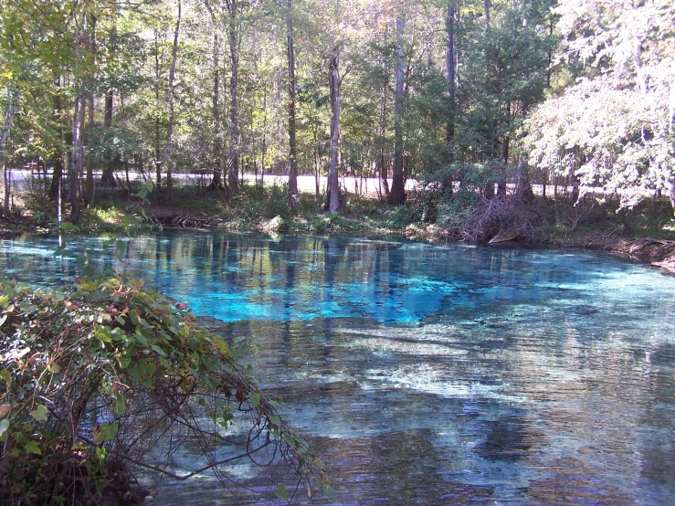 a stream running through a park with blue and green water