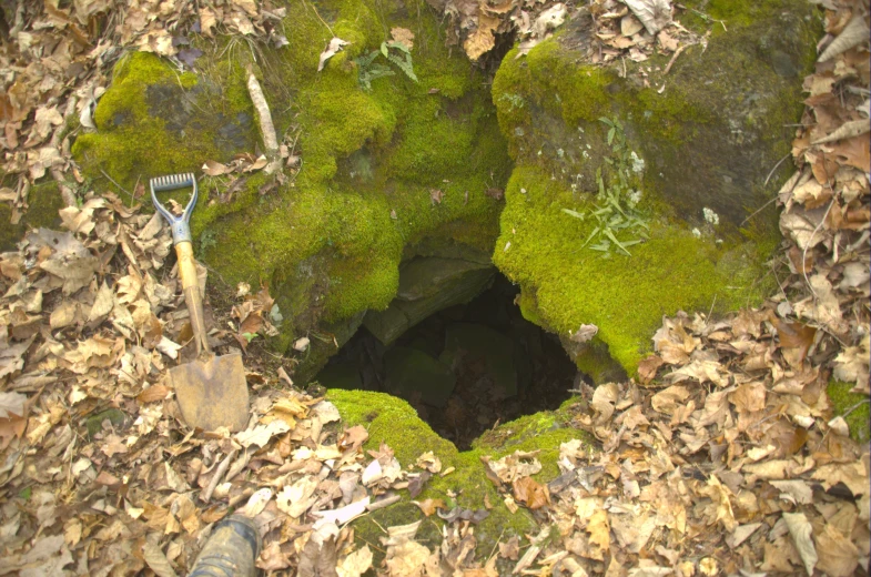 a hole in the leaf covered ground has a tool