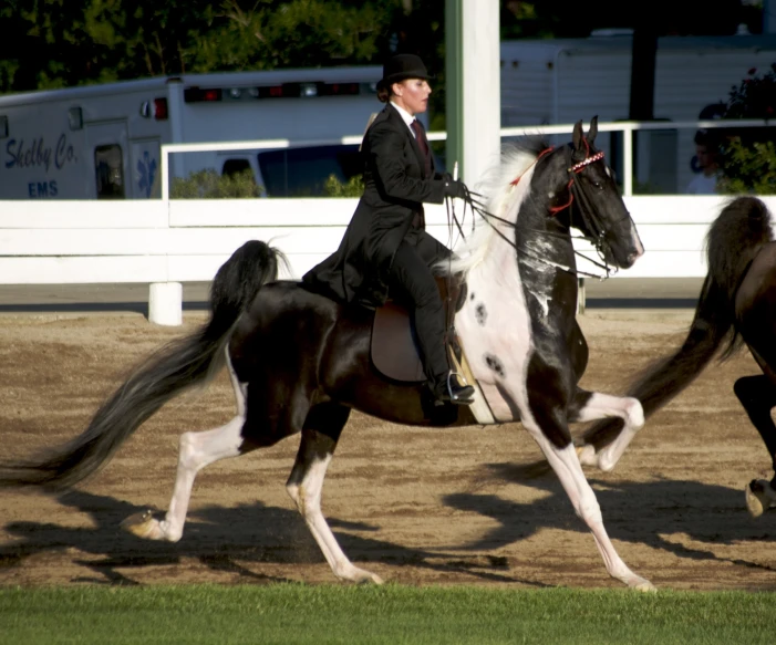 a man is riding a horse while other horses walk near