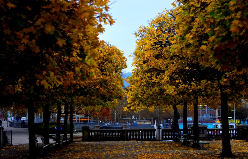 a view through the trees onto a city park