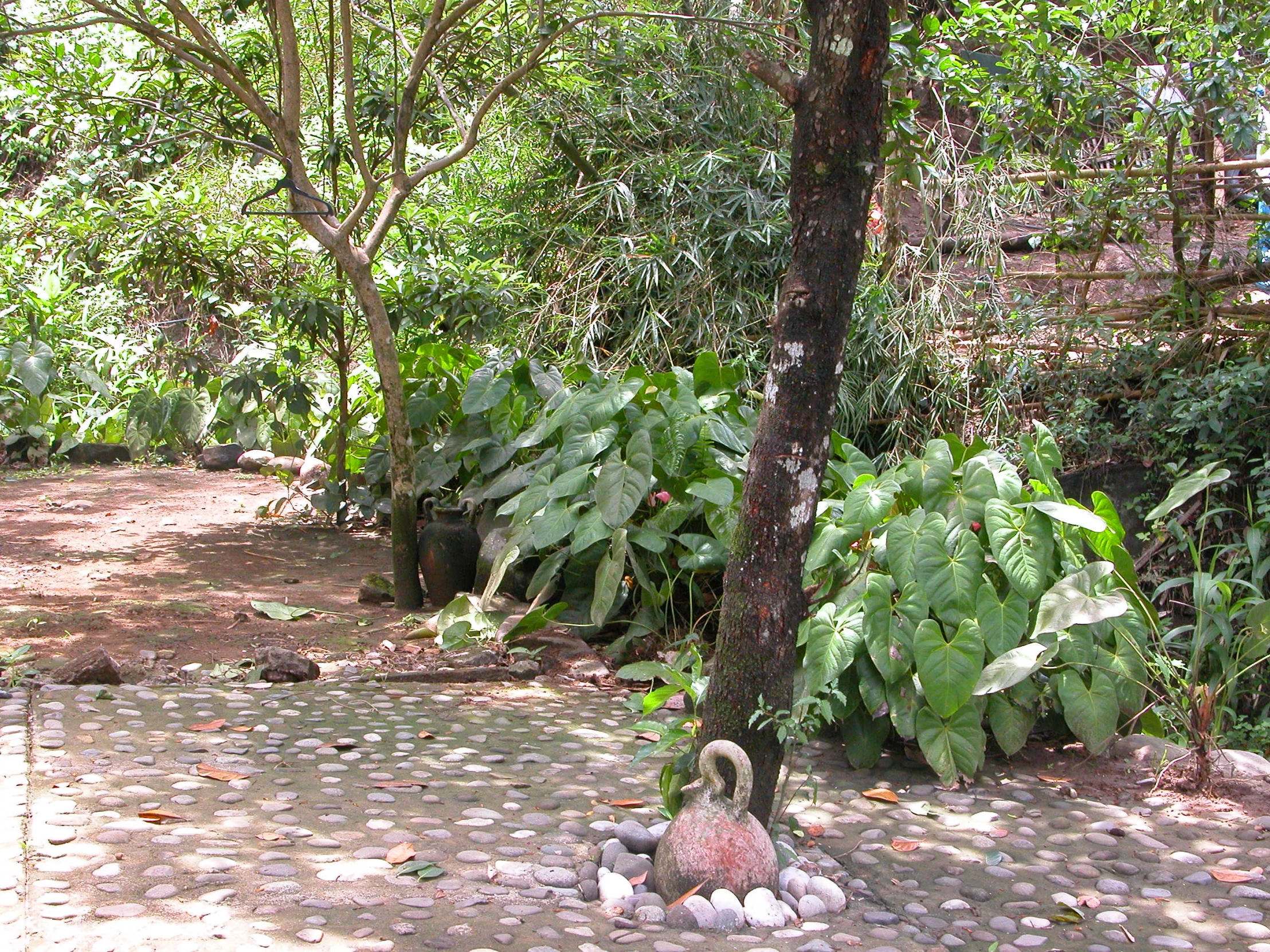 a stone sidewalk with some trees and plants