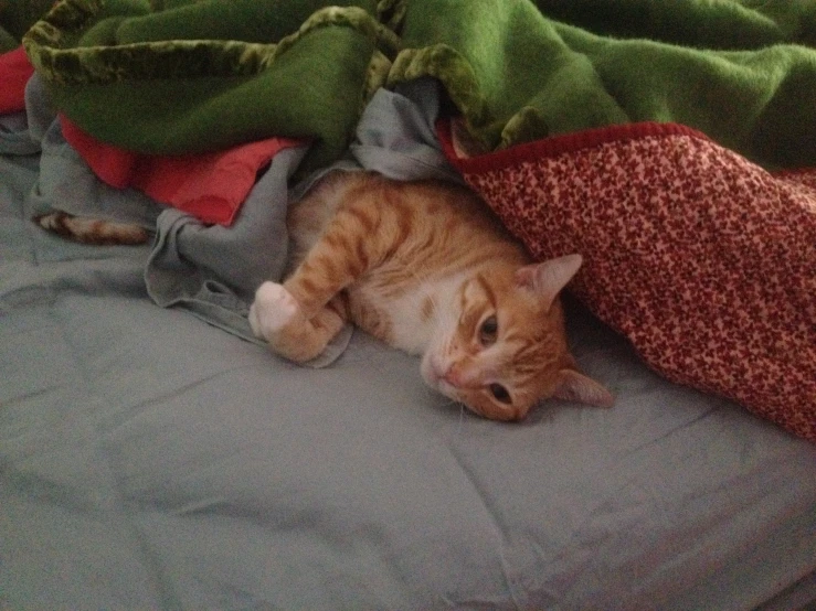 a cat is laying under some blankets on a couch