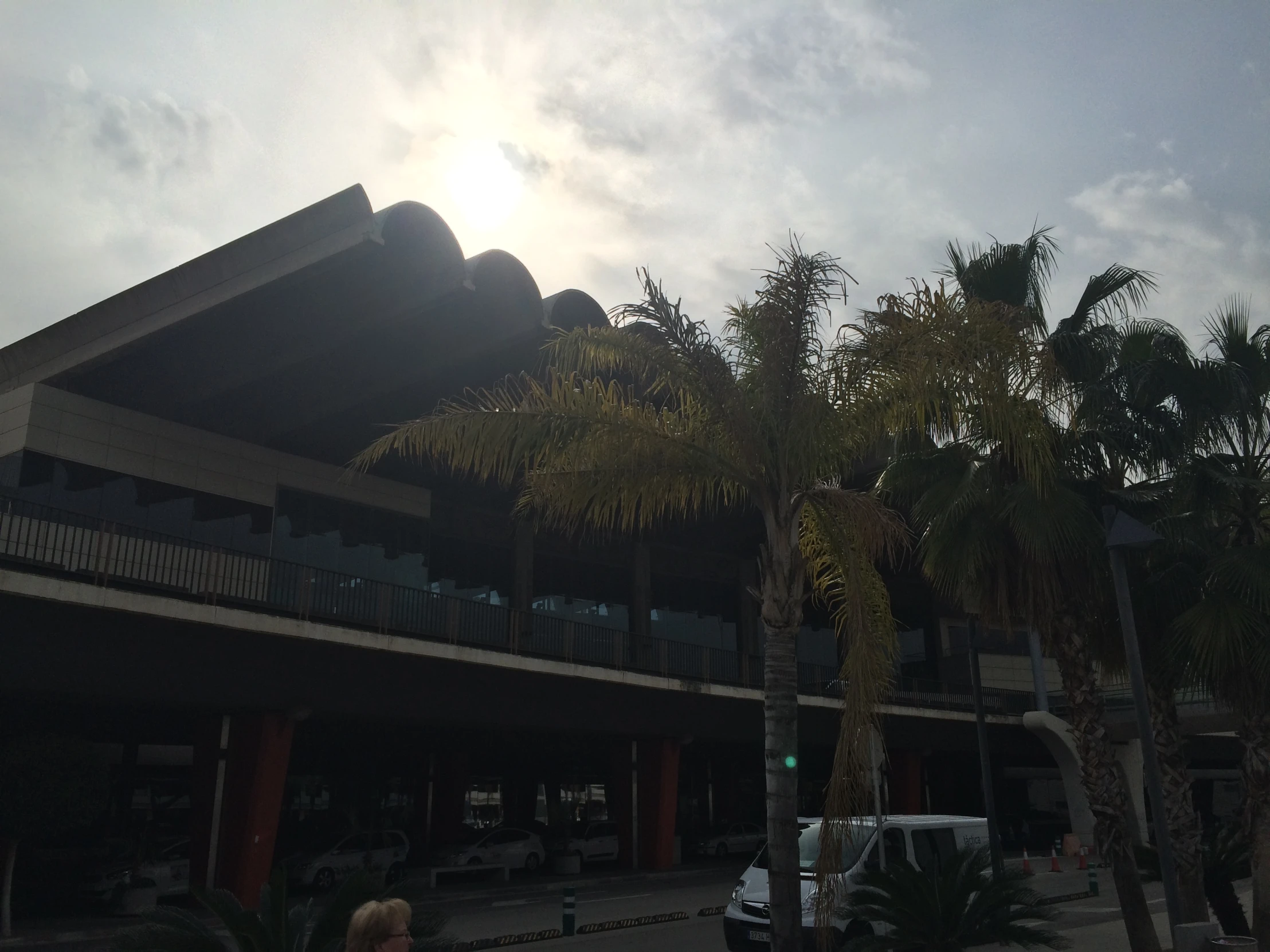 the building is tall and large with a very unusual roof