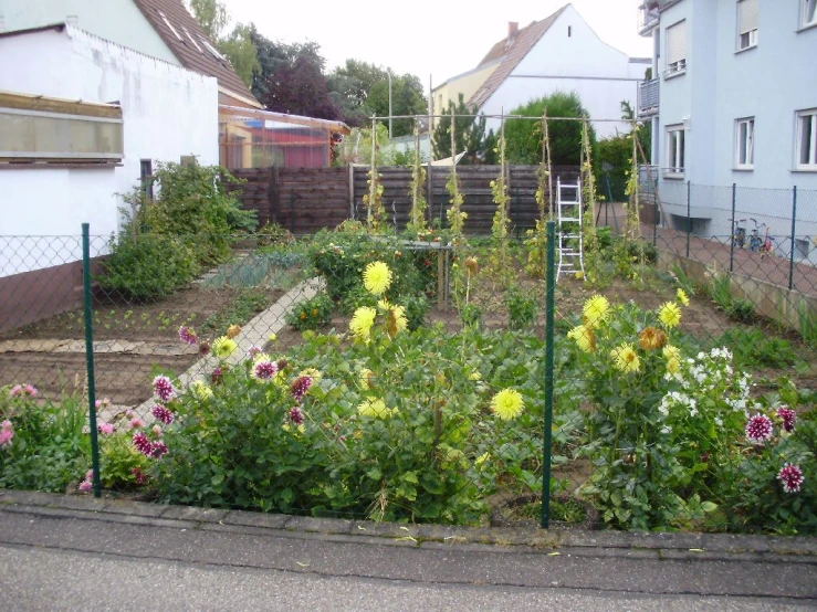 a garden filled with lots of flowers in the yard