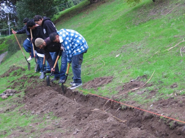 a group of men work on digging in a field