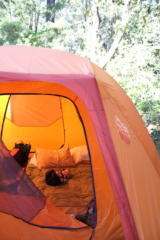 a tent with two sleeping bags under it and trees in the background