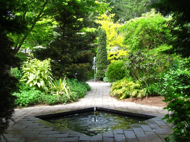 a garden area with a pond and walkway surrounded by green trees