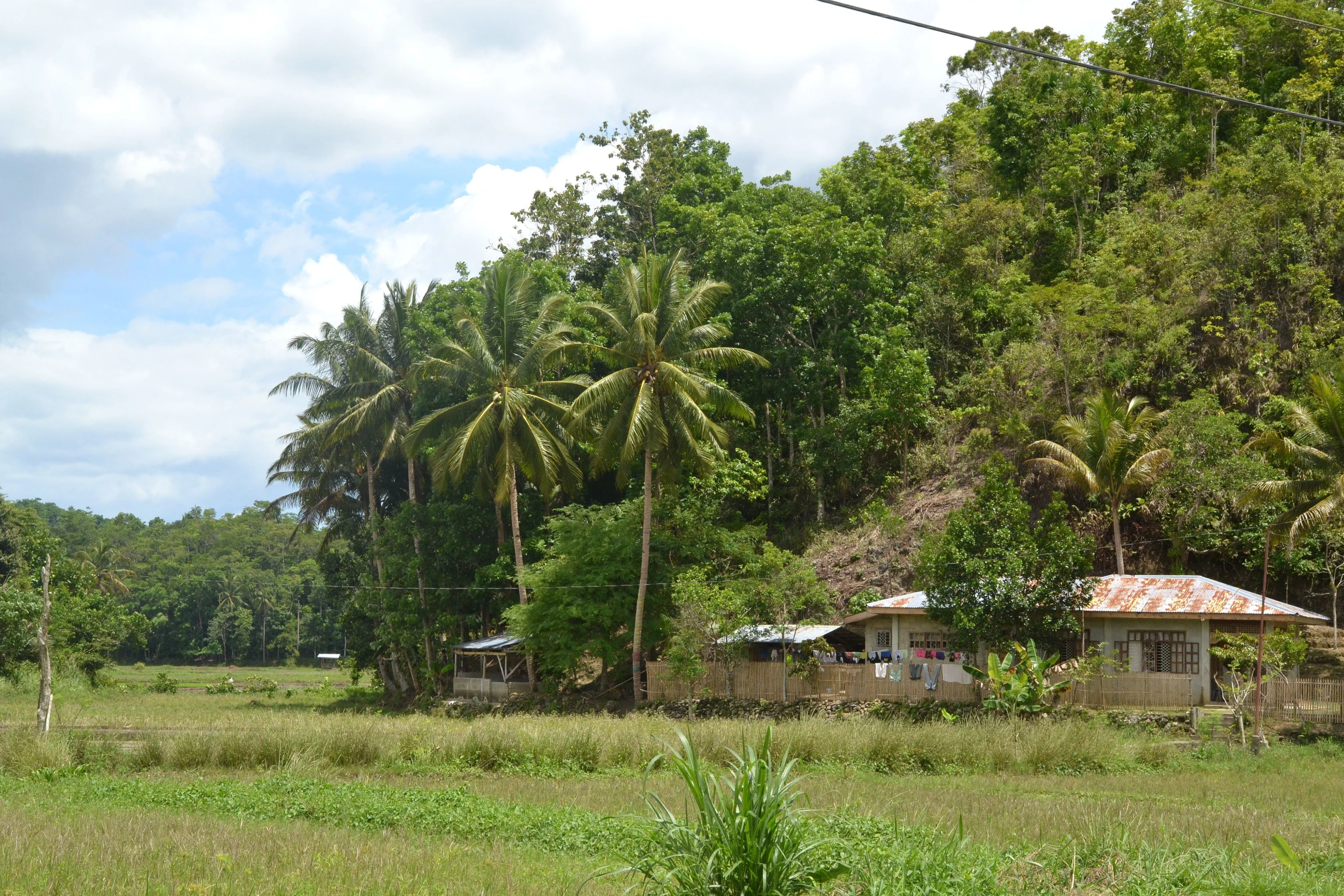 a green field with trees and shacks on the top of it