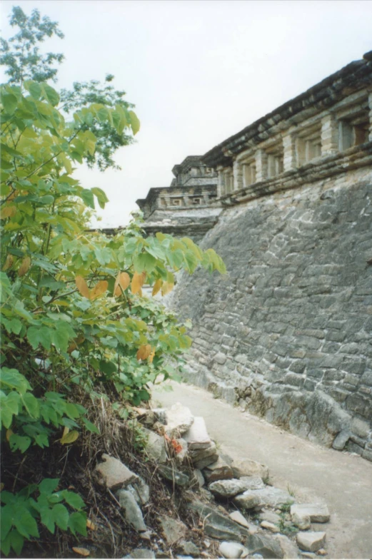 a close - up of an area that contains ruins, trees, and bushes