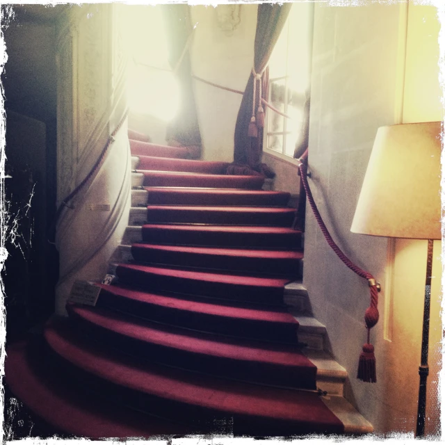 the carpeted steps are lined with red carpets