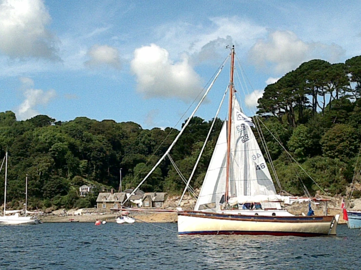 sailboats docked on the water near the shore