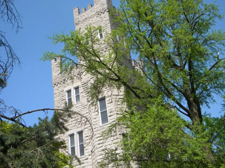 a tall building surrounded by trees with a bright blue sky