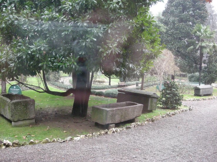 two cement benches under a tree on the street