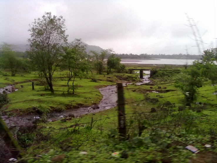 a river running through a green countryside with a bridge in the distance