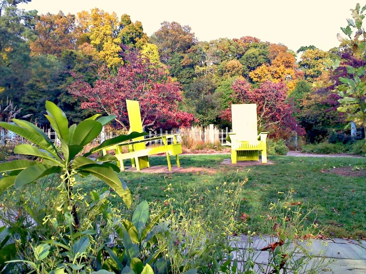 a couple of yellow chairs sitting in the grass