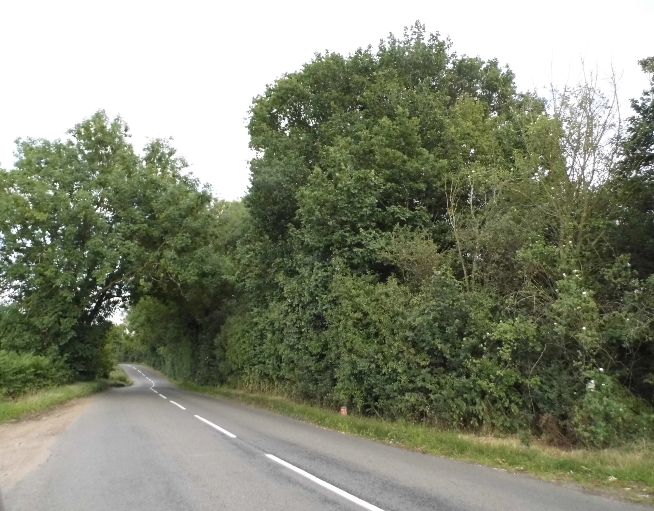 a road in front of trees with one lane