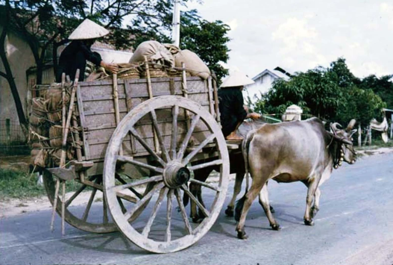 a large cow walking down a street with a wagon full of food on it