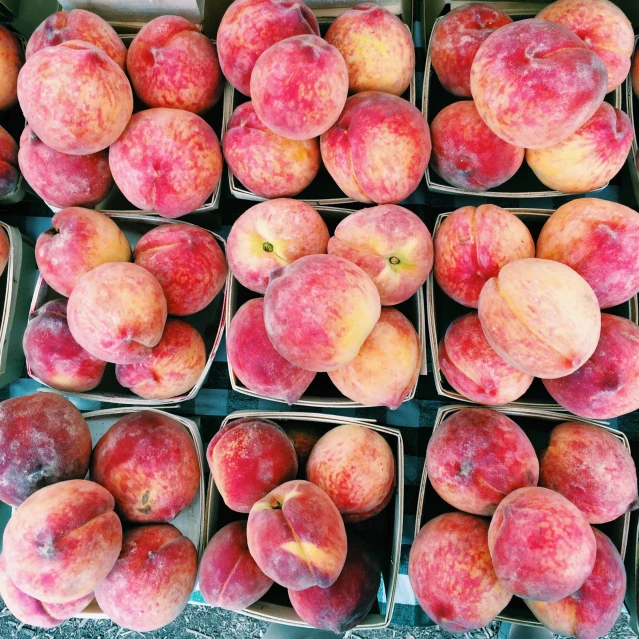 box full of peaches sitting on the ground