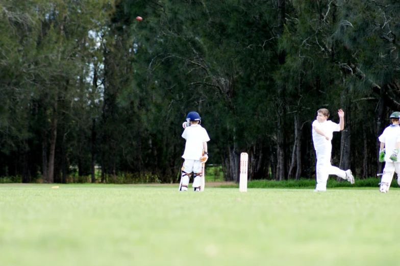 a bunch of children playing with a ball and a bat