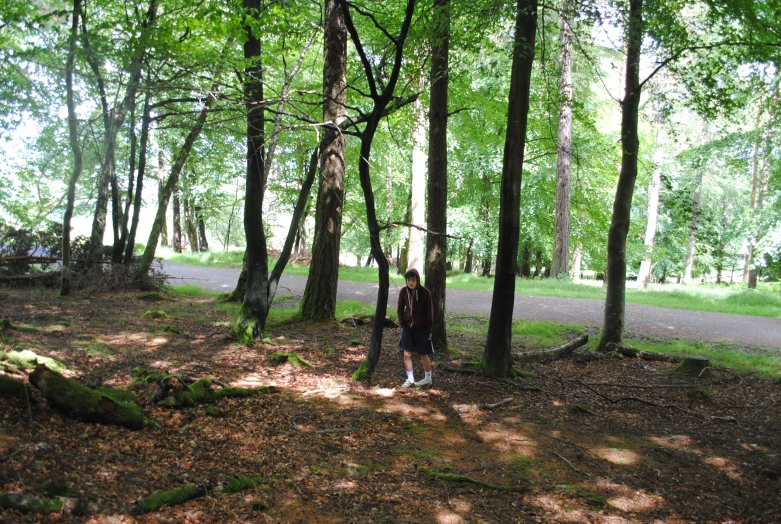 a man standing by a tree with many trees around him