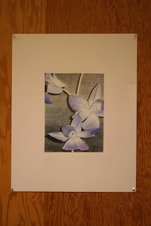 an open white frame holding a framed po with a purple flower on it