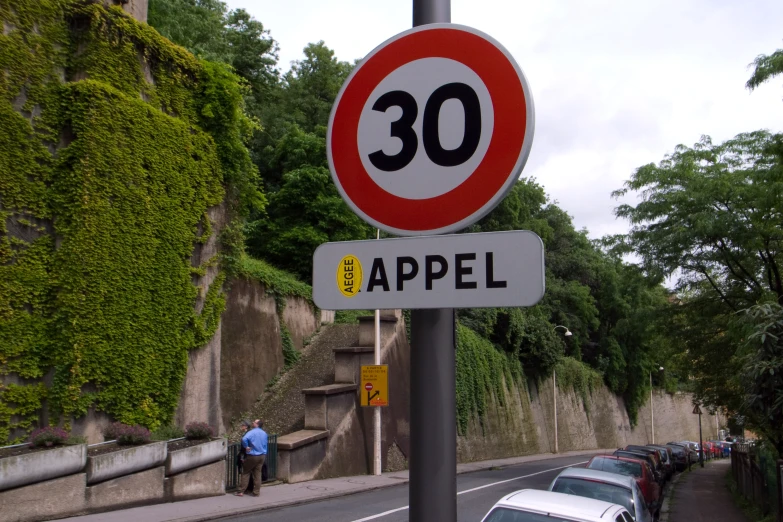 a street sign is shown near some trees