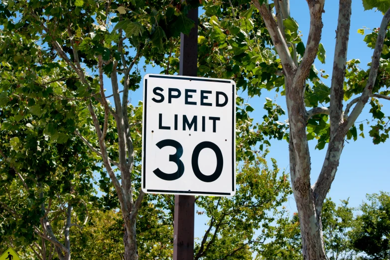 a speed limit sign is shown in front of some trees