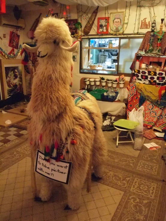 a llama with horns, dressed in a costume with a sign reading'do not press pass here '