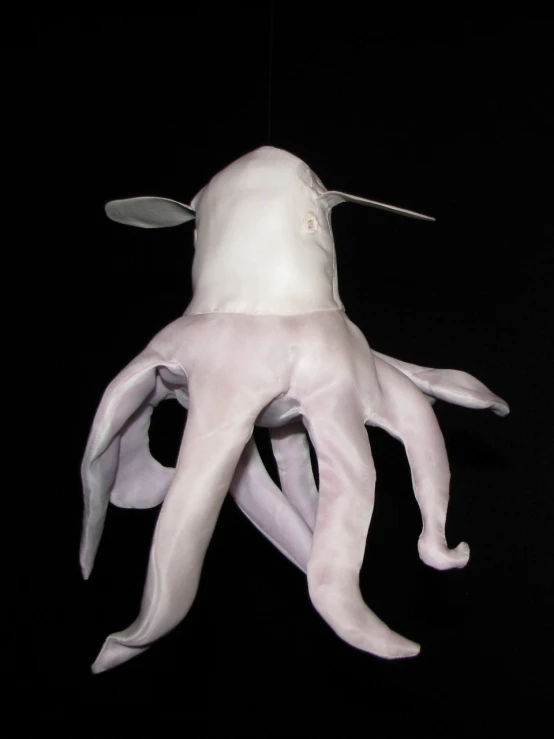 a large squid with an attached head and tooth picks